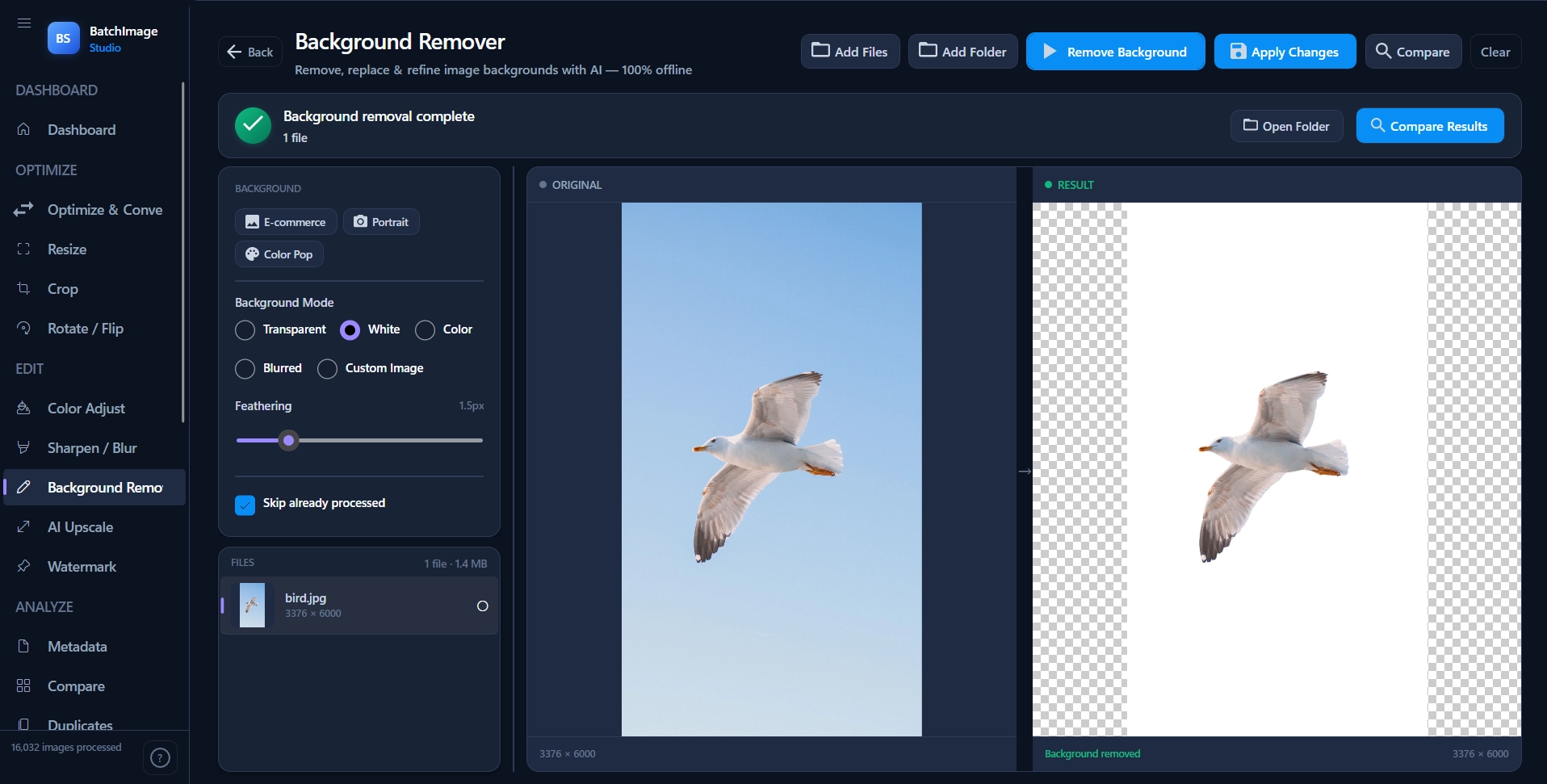 Background Remover screen — a seagull in flight cut out from its sky background, running fully offline