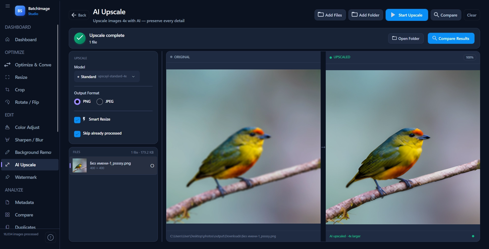 AI Upscale result — a bird image upscaled with AI, showing enhanced detail and sharpness